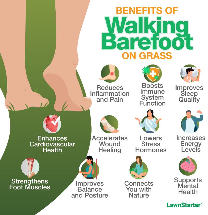 An infographic titled “Benefits of Walking Barefoot on Grass” from LawnStarter, showing a pair of bare feet on green grass. It lists eleven health benefits with corresponding icons: reduces inflammation and pain, boosts immune system function, improves sleep quality, enhances cardiovascular health, accelerates wound healing, lowers stress hormones, increases energy levels, strengthens foot muscles, improves balance and posture, connects you with nature, and supports mental health.