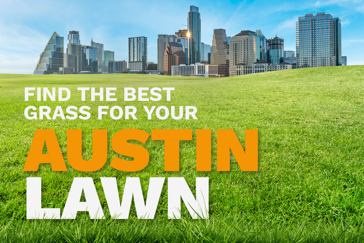 An illustrative image shows the skyline of Austin, Texas, in the distance behind a lush, green lawn.