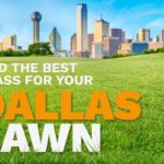 An illustrative image shows the skyline of Dallas, Texas, in the distance behind a lush, green lawn.