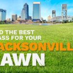 An illustrative image shows the skyline of Jacksonville, Florida, in the distance behind a lush, green lawn.