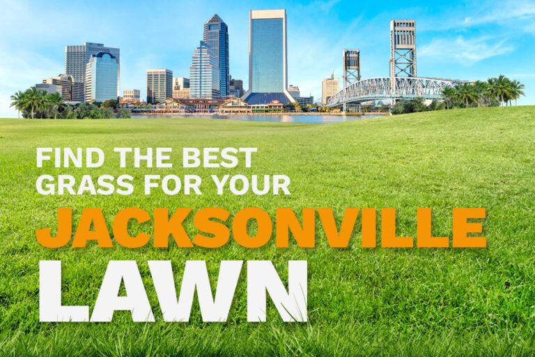 An illustrative image shows the skyline of Jacksonville, Florida, in the distance behind a lush, green lawn.