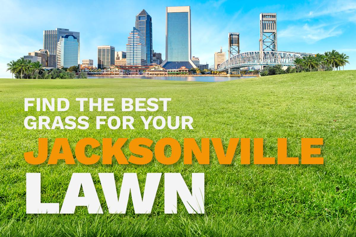 An illustrative image shows the skyline of Jacksonville, Florida, in the distance behind a lush, green lawn.