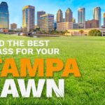 An illustrative image shows the skyline of Tampa, Florida, in the distance behind a lush, green lawn.