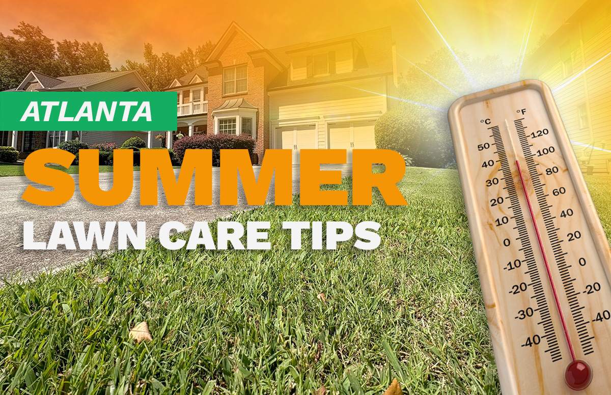 A home in Atlanta with a freshly mowed lawn is pictured in summer.