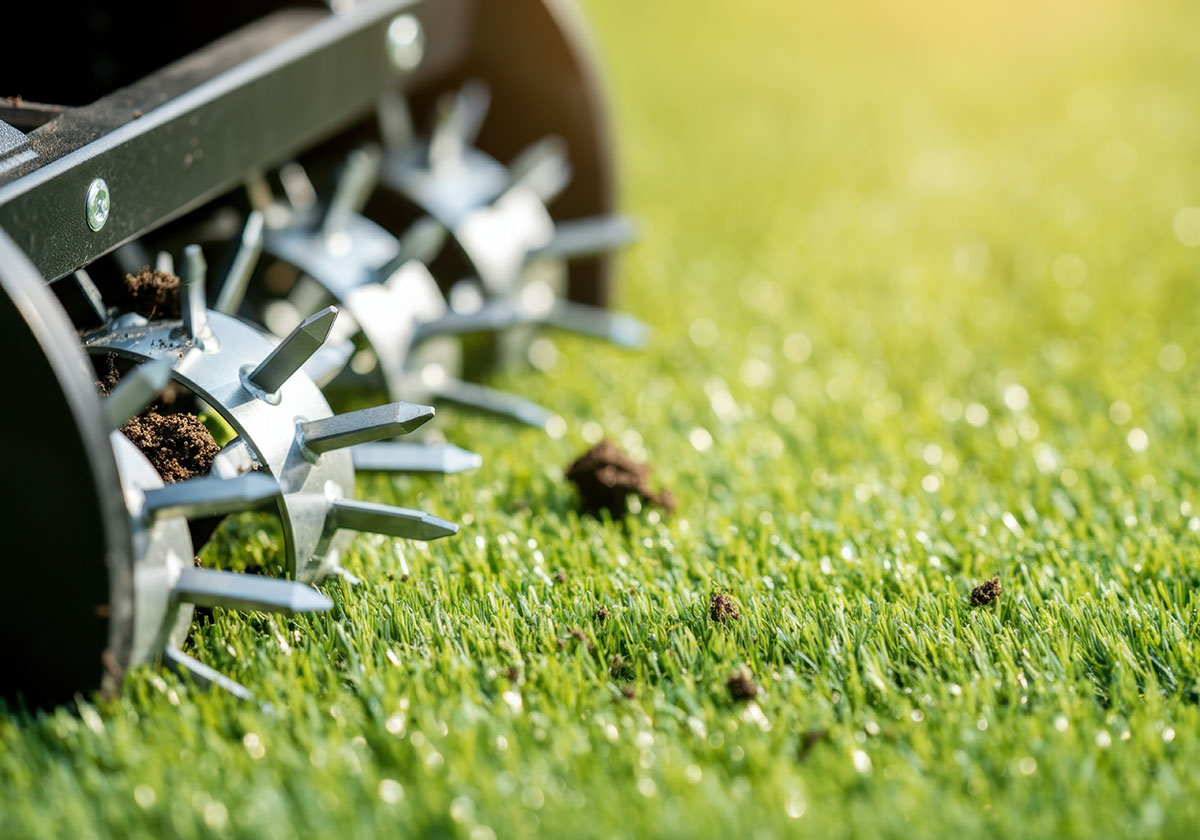 Garden roller aerator perforating grass turf for improved drainage and root growth.