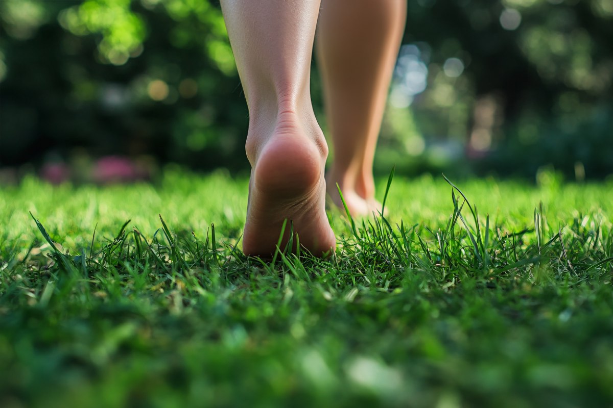 Close up of woman's bare feet walking over green grass