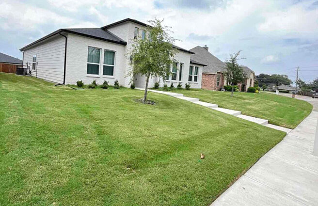 A white and black modern home with a lush, green lawn in a residential area of Dallas.