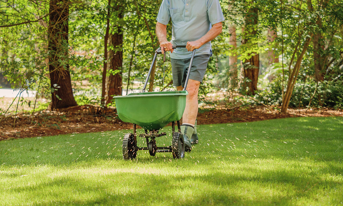 Man fertilizing a lawn with a manual rotary lawn spreader