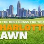 An illustrative image shows the skyline of Charlotte, N.C, in the distance behind a lush, green lawn.