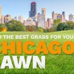An illustrative image shows the skyline of Chicago, Illinois, in the distance behind a lush, green lawn.
