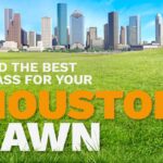 The 5 Best Grasses for Houston Lawns An illustrative image shows the skyline of Houston, Texas, in the distance behind a lush, green lawn.