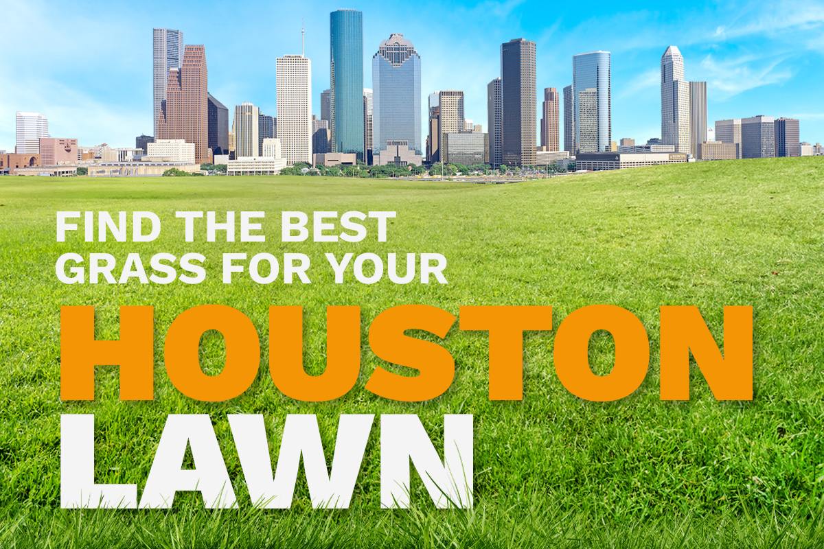 An illustrative image shows the skyline of Houston, Texas, in the distance behind a lush, green lawn.