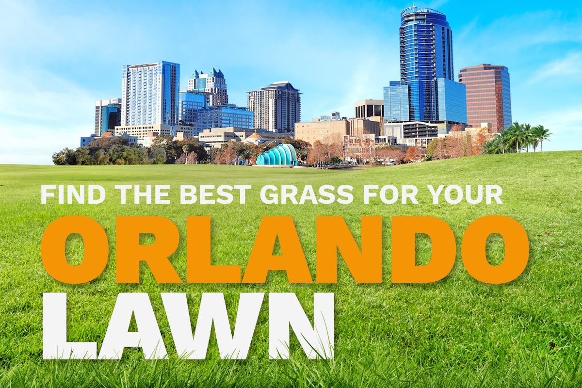 An illustrative image shows the skyline of Orlando, Florida, in the distance behind a lush, green lawn.