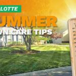 Summer Lawn Care Checklist for Charlotte A house with a manicured lawn on an illustrated image with a thermometer and sunburst depicting summer heat.