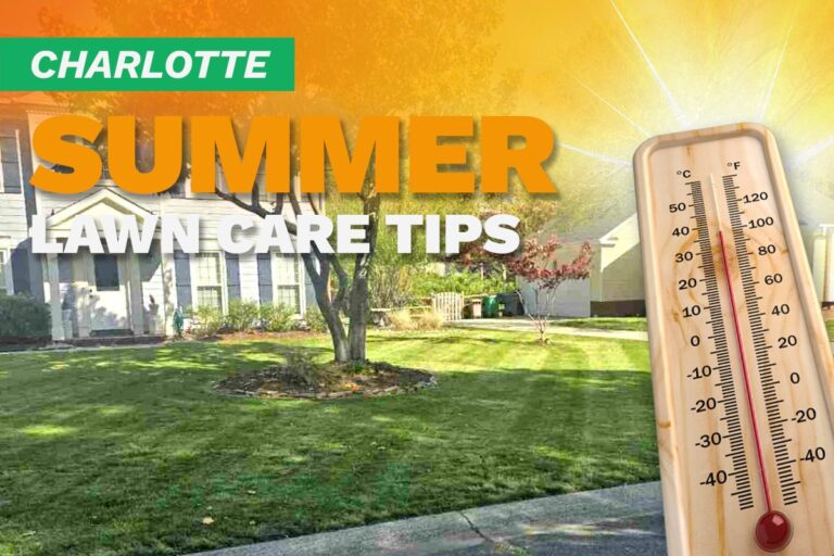 A house with a manicured lawn on an illustrated image with a thermometer and sunburst depicting summer heat.