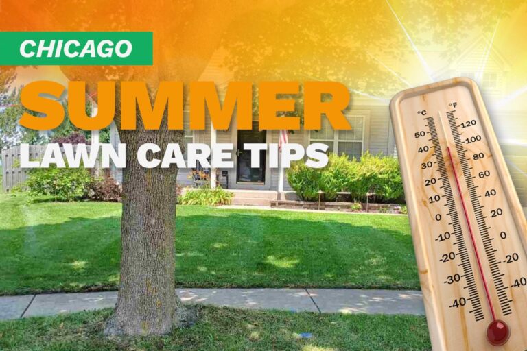 A house with a manicured lawn on an illustrated image with a thermometer and sunburst depicting summer heat.