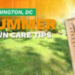 Summer Lawn Care Checklist for Washington, DC A house with a manicured lawn on an illustrated image with a thermometer and sunburst depicting summer heat.