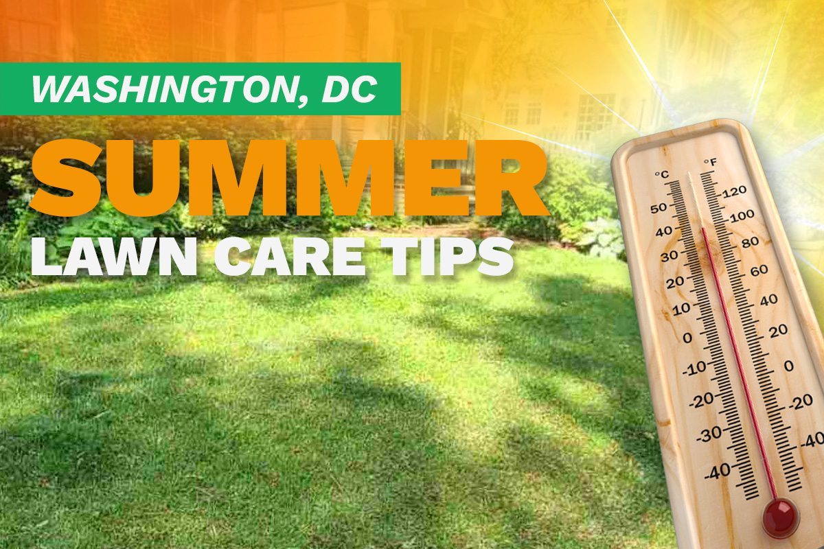 A house with a manicured lawn on an illustrated image with a thermometer and sunburst depicting summer heat.