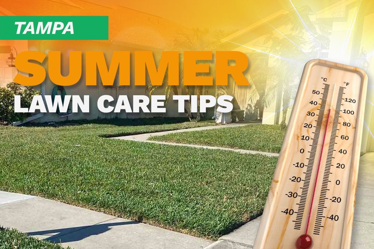 A blue house with a manicured lawn on an illustrated image with a thermometer and sunburst depicting summer heat.