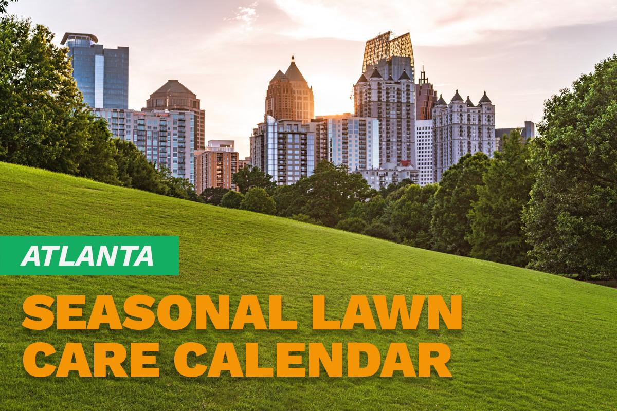Atlanta skyline at dawn with a grassy hill and green trees in the foreground.