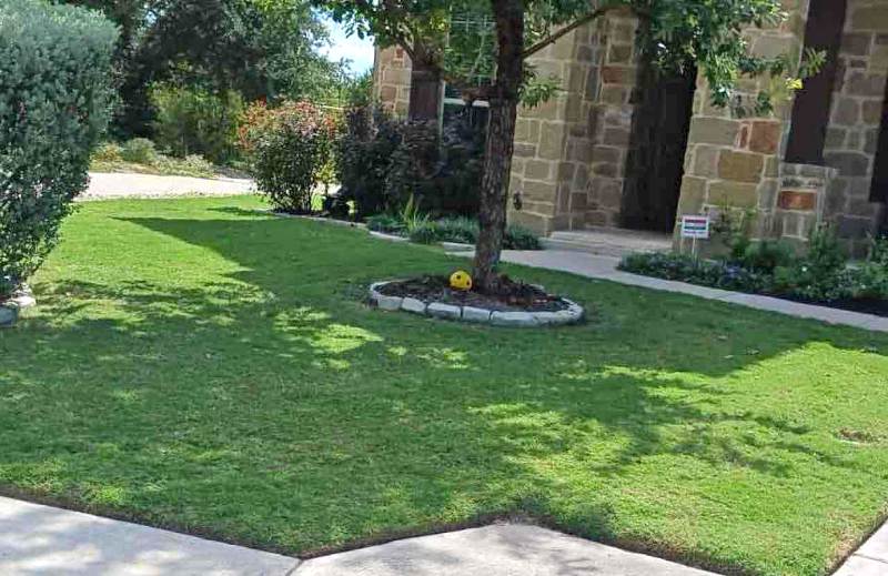 Well-maintained front lawn with neatly mowed grass in front of a house in Austin, Texas.