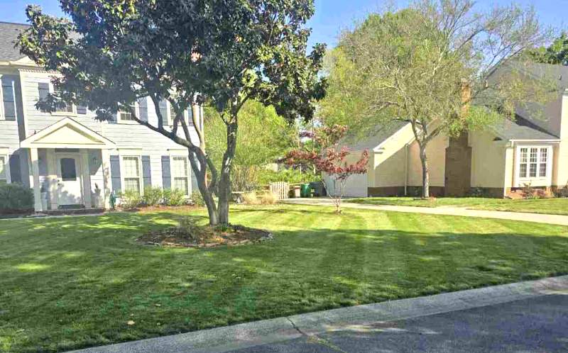 Well-maintained lawn with neatly mowed grass in front of a house in Charlotte, N.C.