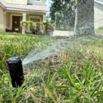 A pop-up lawn sprinkler sprays water in a Florida lawn. A cream colored, two-story house is in the background.