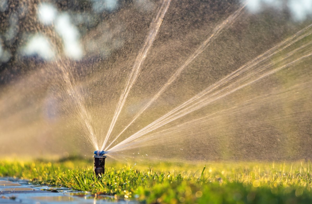 A lawn sprinkler sprays water over warm-season grass at dawn.