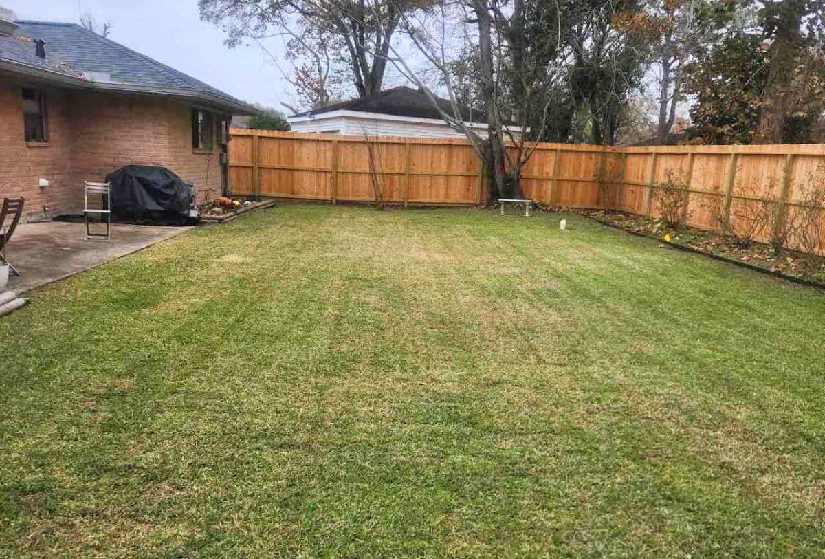 A well-maintained suburban neighborhood with trees, manicured lawns, and houses on a sunny day.