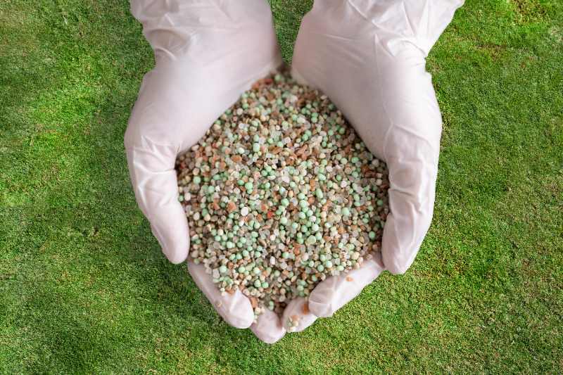 Gloved hands holding lawn fertilizer