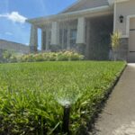 A sprinkler waters St. Augustinegrass with a modern Florida home in the background.