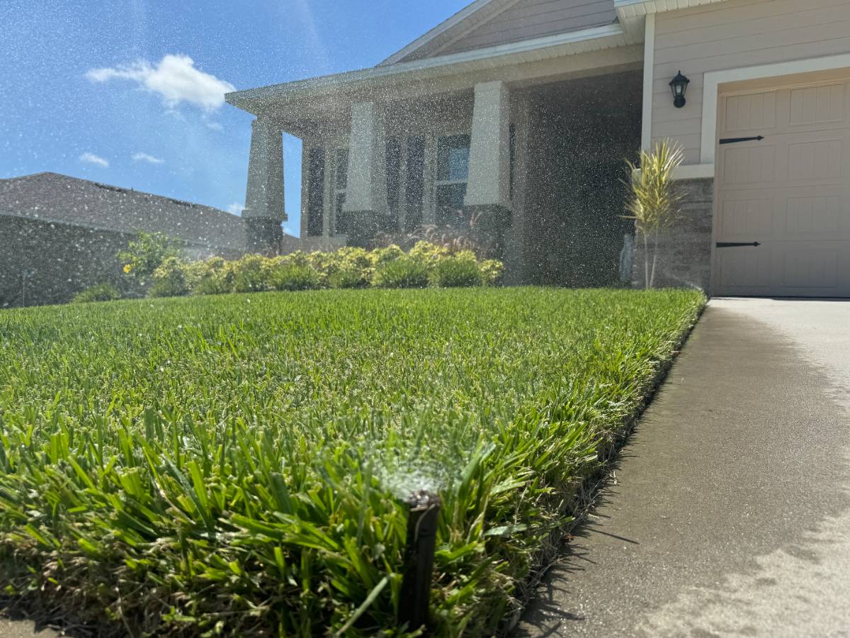 A sprinkler waters St. Augustinegrass with a modern Florida home in the background.