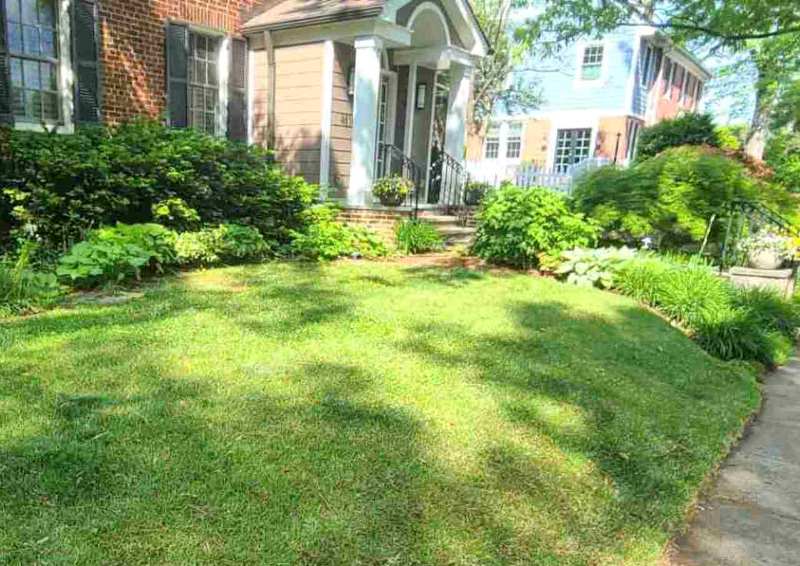 Well-maintained front lawn with neatly mowed grass in front of a house in Washington, D.C.