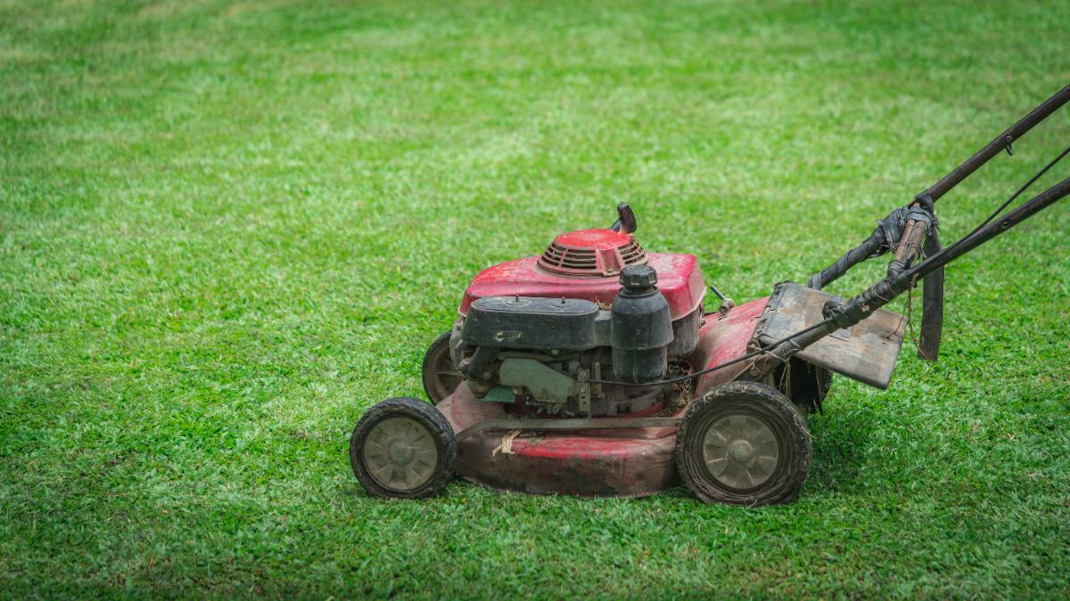 An old, rusty push mower on green grass.