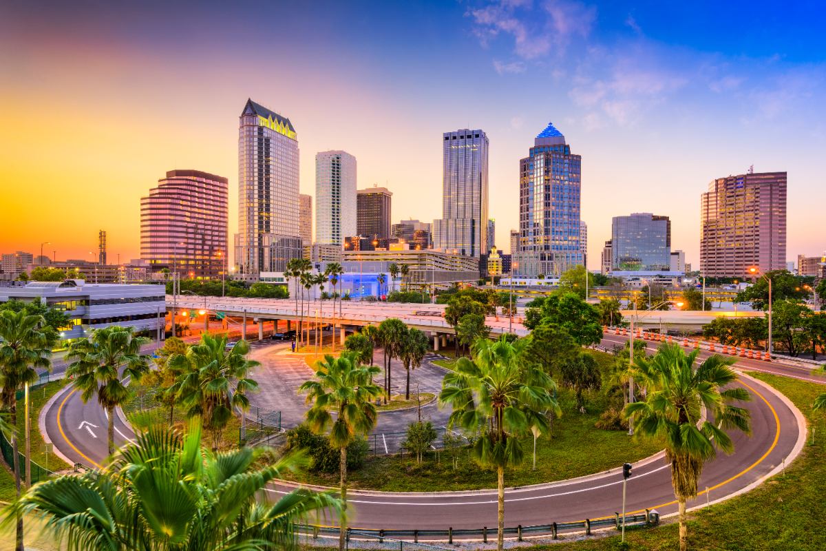 Skyline of Tampa, FL, with palm trees at dusk.