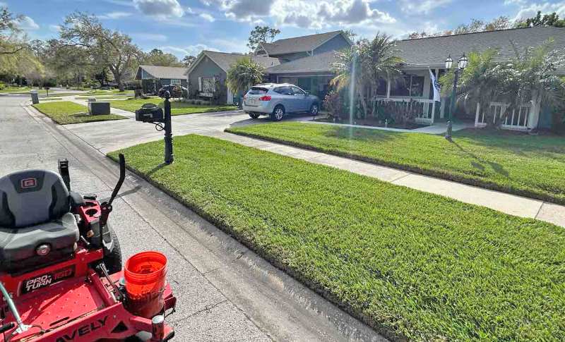 Well-maintained front lawn with neatly mowed grass in front of a house in Tampa, Florida.