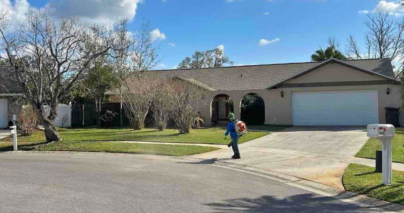 Well-maintained front lawn with neatly mowed grass in front of a house in Tampa, Florida.