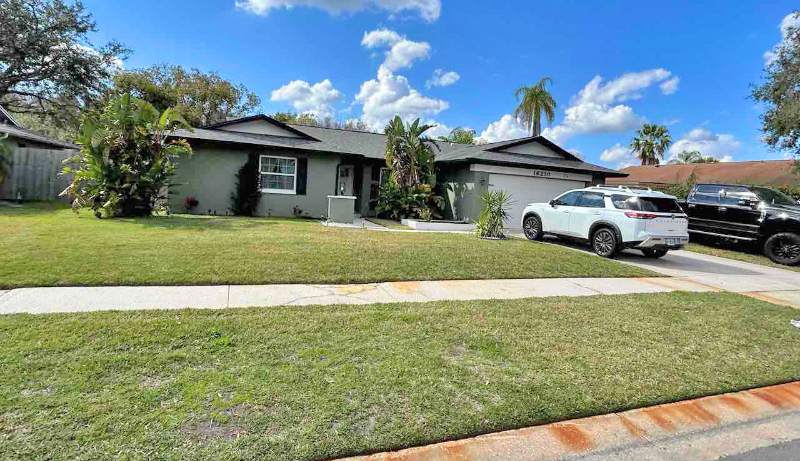 Well-maintained front lawn with neatly mowed grass in front of a house in Tampa, Florida.