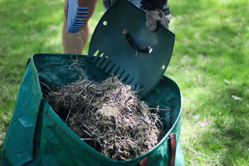 A person using a leaf scoop and rake to collect leaves , thatch, and debris from the yard for spring cleanup.