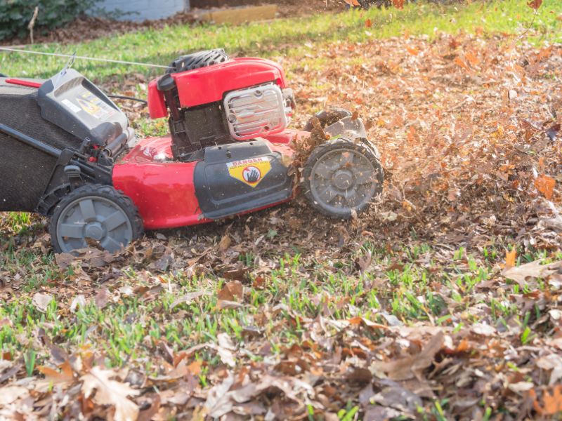 Working lawn mower mulching autumn leaves for lawn care in Texas, USA