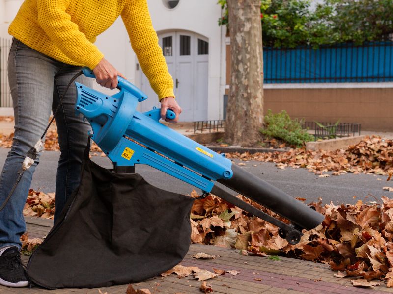 A person uses a leaf vacuum to collect leaves.