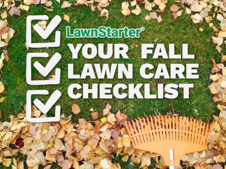 Illustartive image showing fall leaves and a rake in the background. The words