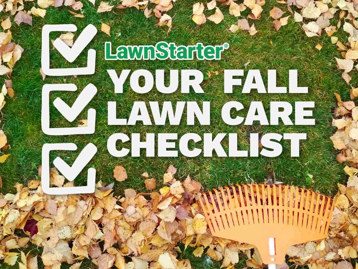 Illustartive image showing fall leaves and a rake in the background. The words "LawnStarter, your fall lawn care checklist" are overlayed in the foreground.
