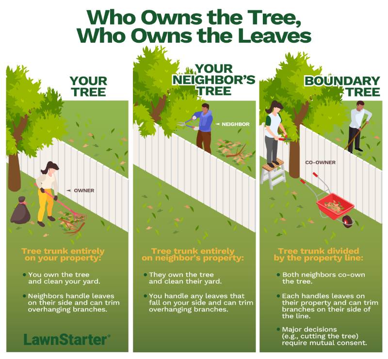 Illustration explaining tree ownership: your tree, neighbor’s tree, and boundary tree, showing responsibilities for leaves, trimming, and maintenance.