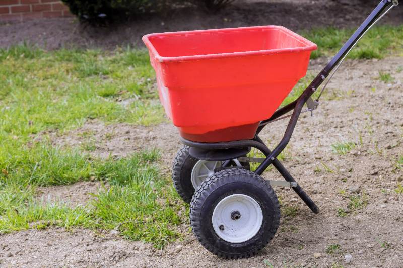 A red seed spreader with black wheels stands on a patchy lawn, used for evenly spreading grass seed or fertilizer.