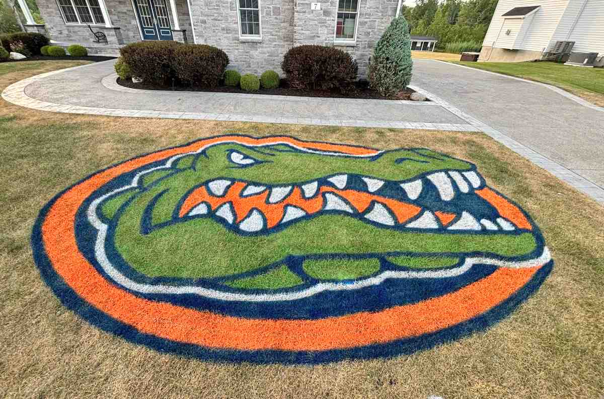 A Florida Gator logo is painted on the front lawn of a modern stone home.