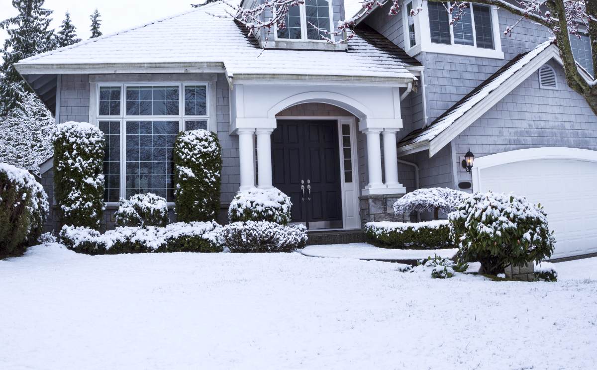 Front yard of a house in winter with snow-covered evergreens and shrubs creating layered structure and year-round landscape interest.