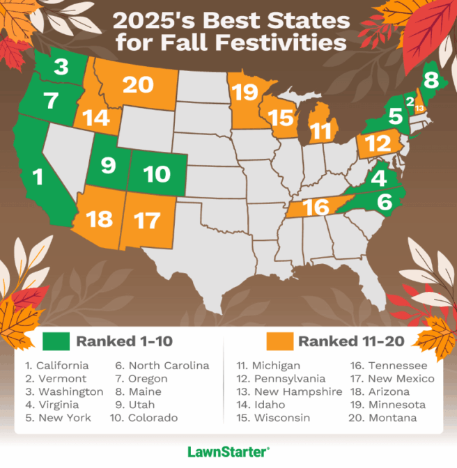 Infographics for best staes for fall festivities