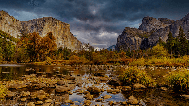 A scenic view of evergreen and deciduous trees turning orange and yellow in Yosemite Park in California