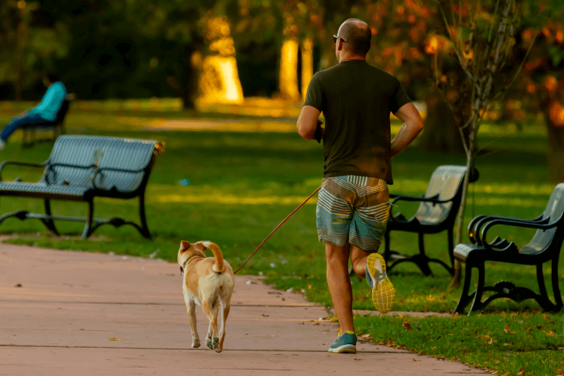 Man jogging with his dog in a park in Frederick, Maryland